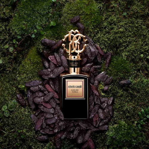 روبرتو كافالي غولد كولكشن سابلايم تونكا أو دو برفان 100مل روبرتو كافالي غولد كولكشن سابلايم تونكا أو دو برفان 100مل