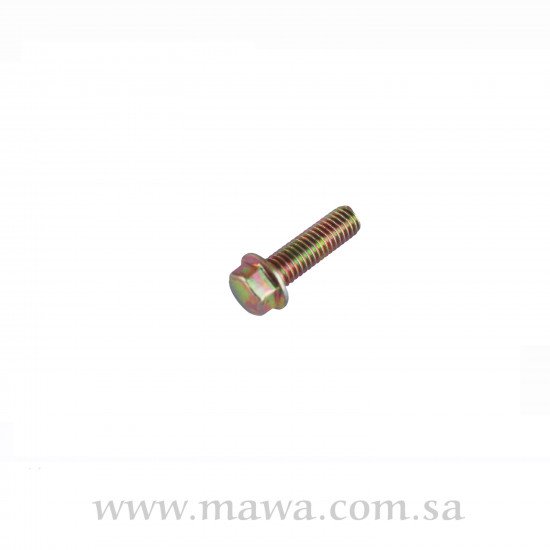 FLANGE BOLT 6×20