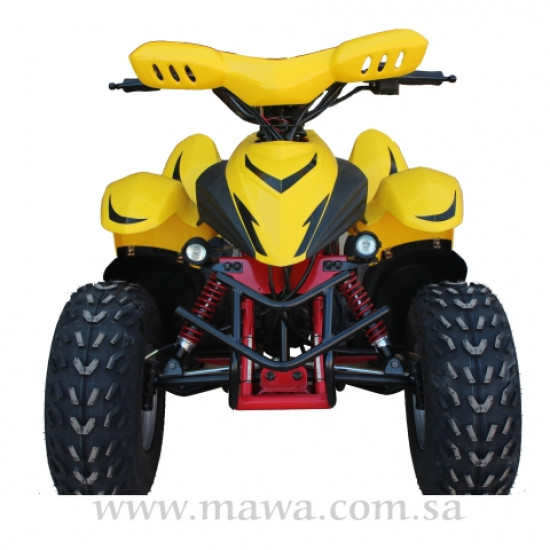 دراجة نارية 100 سي سي دولفين 