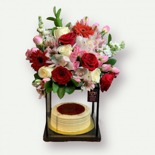 صندوق الكيك 