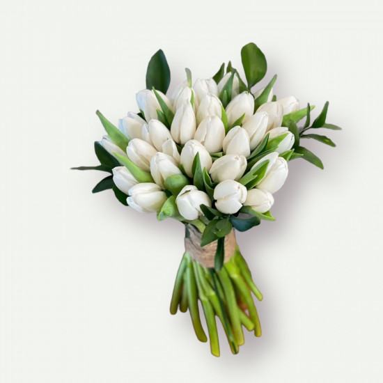 مسكة عروس توليب المميزة