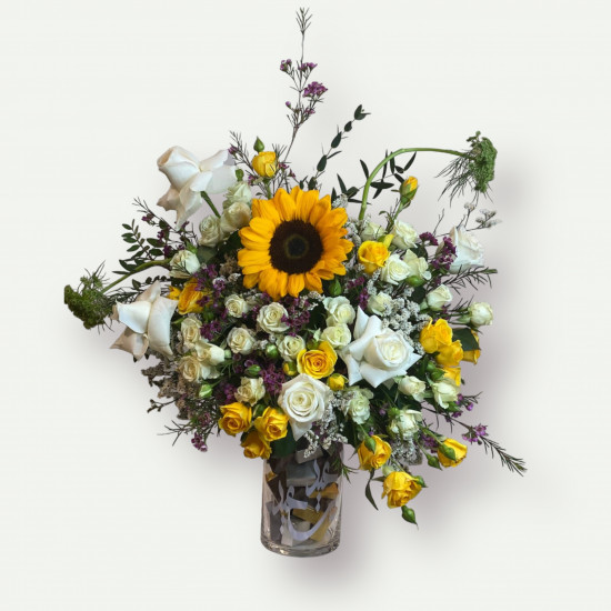 فازة دوار الشمس 