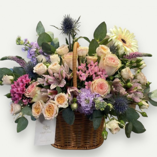 السلة المميزة  