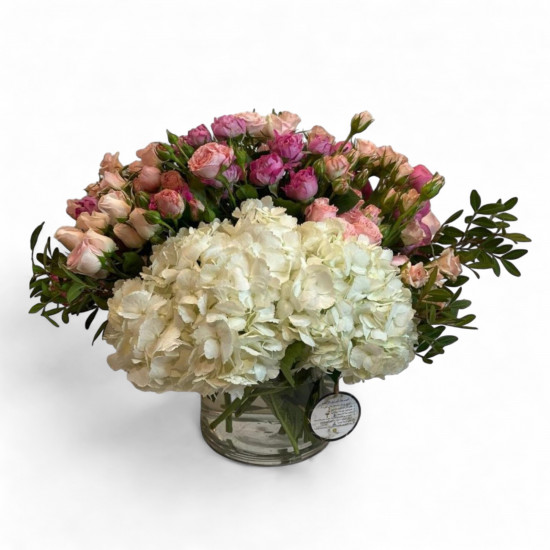 فازة الهايدرنجا