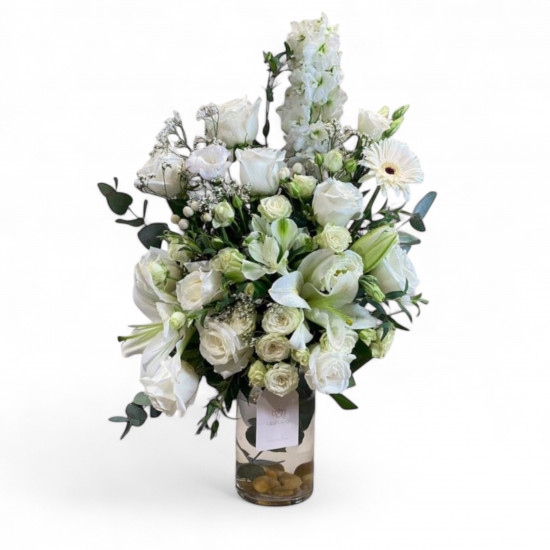 فازة الليليوم المتفتح  