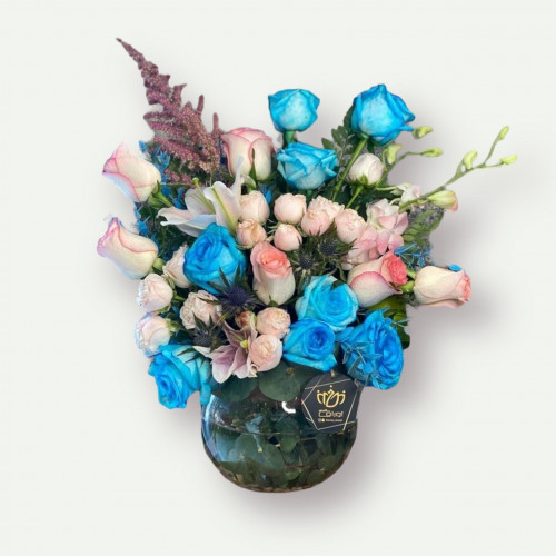 تنسيق فازات لتحديد جنس الجنين تنسيق فازات لتحديد جنس الجنين