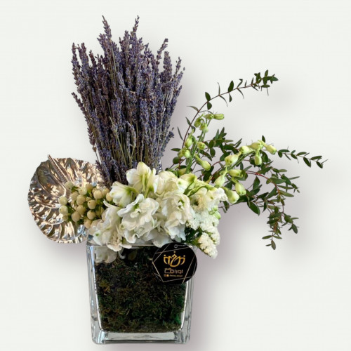 فازة الافندر 