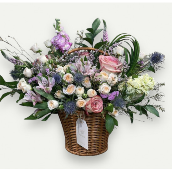 السلة المميزة  