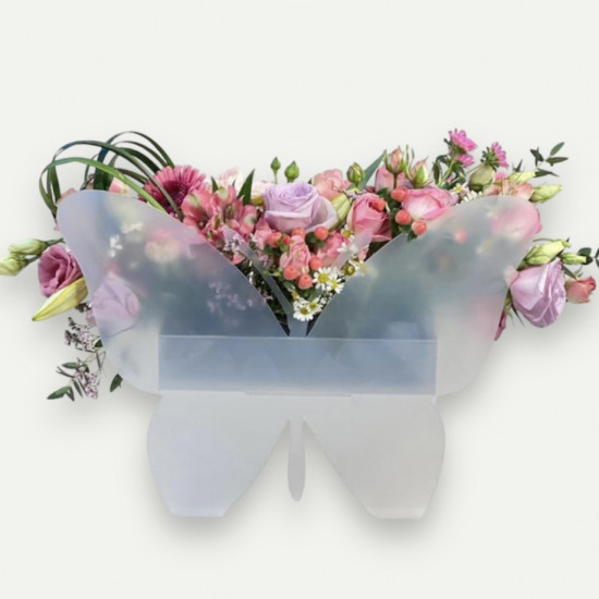 بوكس الفراشة  