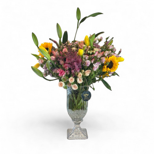 فازة دوار الشمس 