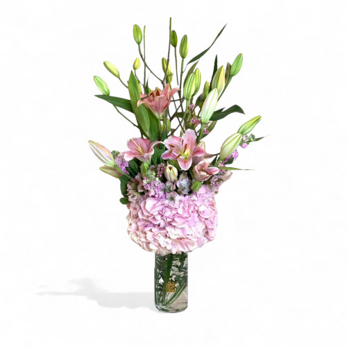 فازة الشموخ