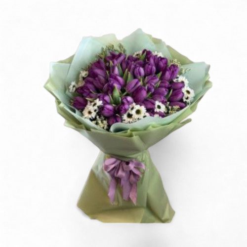 باقة 60 حبة من التوليب البنفسجي