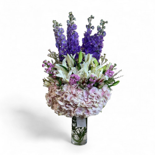 فازة الهايدرنجا    