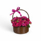 سلة ورد فوشيا