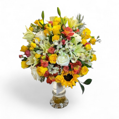 فازة الشروق