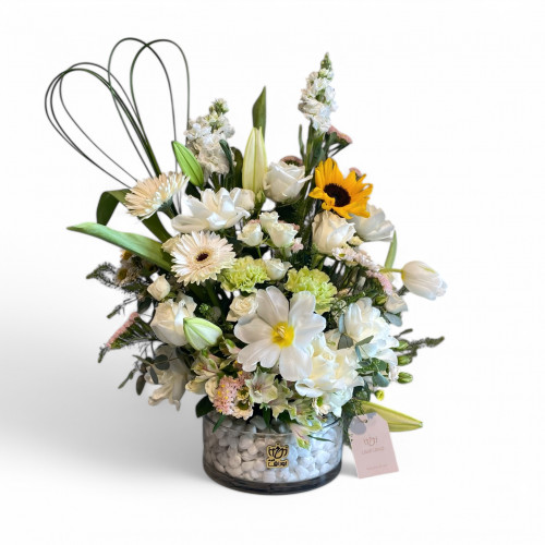 فازة راقية فازة راقية