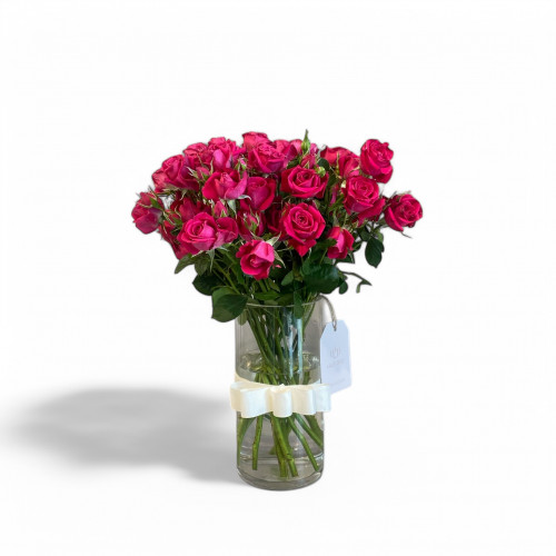 فازة بيبي روز فوشيا