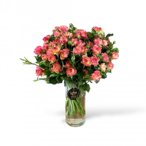 فازة البيبي روز 