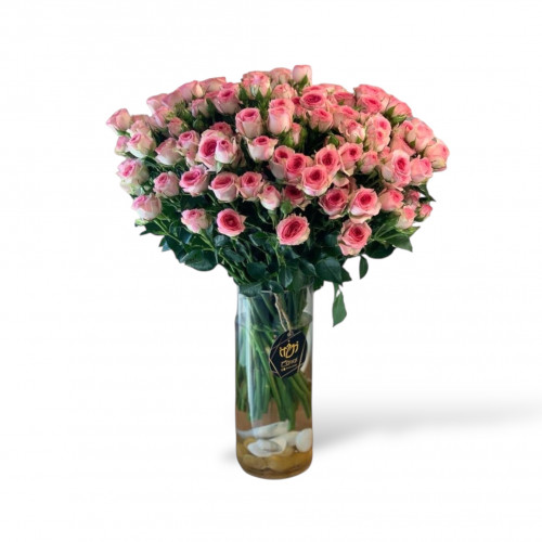 فازة بيبي روز فازة بيبي روز