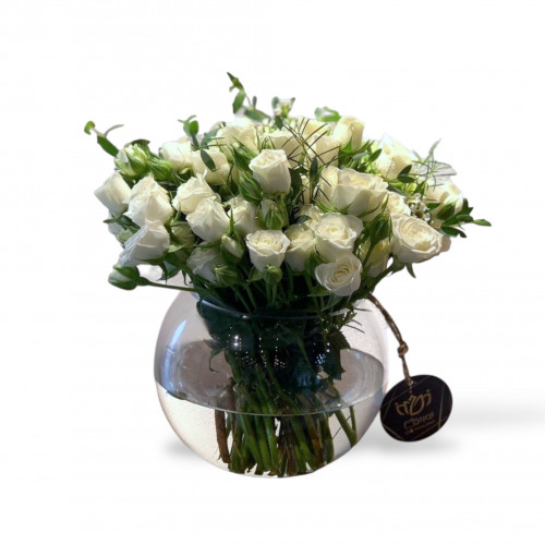 الفازة الزاهية 