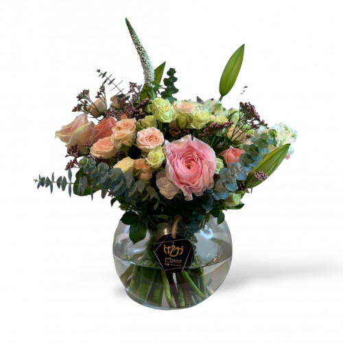 فازة دائرية