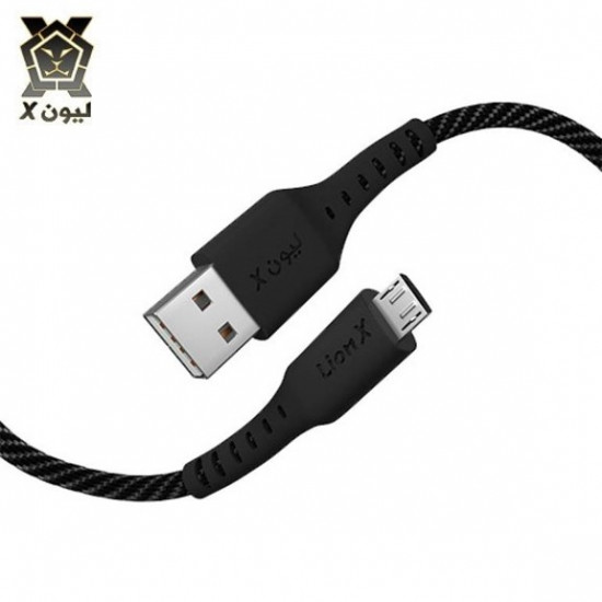 ليون اكس - كيبل مايكرو متر