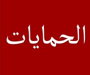 الحماية