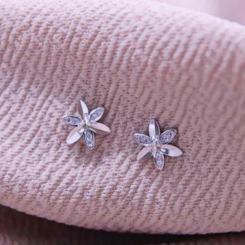 حلق فضة عيار 925