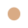 N55 DARK BEIGE  