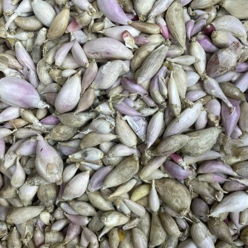 Yemeni male garlic No. 1, a quarter kilo