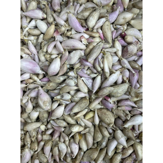 ثوم ذكر يمني رقم 1 ربع كيلو ثوم ذكر يمني رقم 1 ربع كيلو