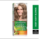 Garnier Color Naturals hair dye deep gray blond - 7.11