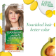 Garnier Color Naturals Hair Dye - Gray Blonde 7.1