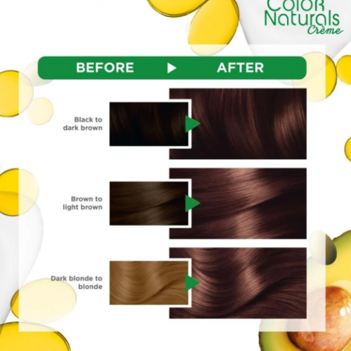 غارنييه كولور ناتشورالز صبغة شعر - بني شوكولا نقي 6.7 غارنييه كولور ناتشورالز صبغة شعر - بني شوكولا نقي 6.7