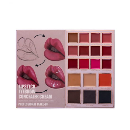 دفتر باليت كرستين 5 في 1 اظلال العيون + اضاءة + احمر خدود + احمر الشفاه + كونسيلر + تاتو الحواجب CH-K2313