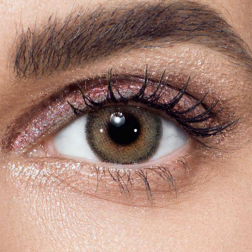 عدسات لاصقة يومية اوليفيا من انستازيا