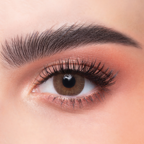 عدسات ذهب رقم 14 سنوية - كات اي