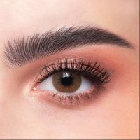 عدسات الذهب السنويه رقم 21 _ كراميل 