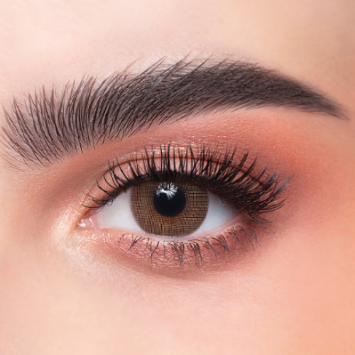 The daily gold lenses _No. 14 Kat A