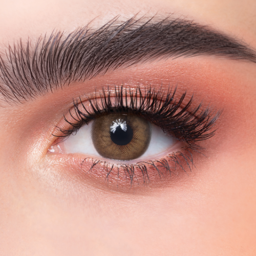 عدسات يومية من ذهب كاف 41 عدسات يومية من ذهب كاف 41