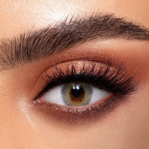 Daily gold lenses Number 42 Smoky