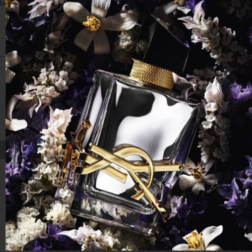عطر اف سان لوران ليبر لابسولو بلاتين بارفيوم 90 ملي 