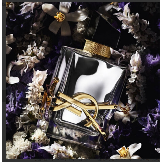 عطر اف سان لوران ليبر لابسولو بلاتين بارفيوم 90 ملي 