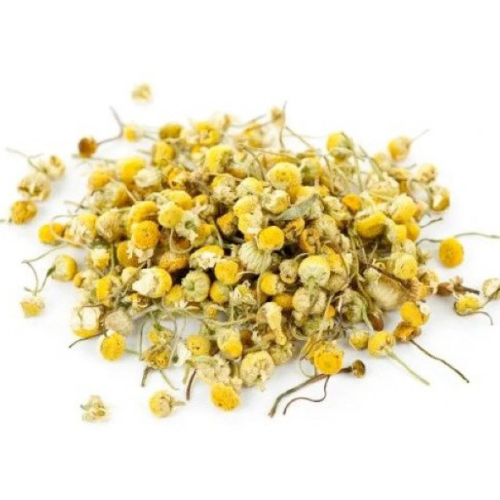 chamomile