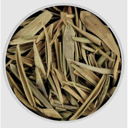 ورق الزيتون 