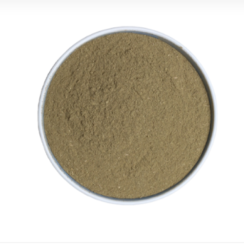 ground basil