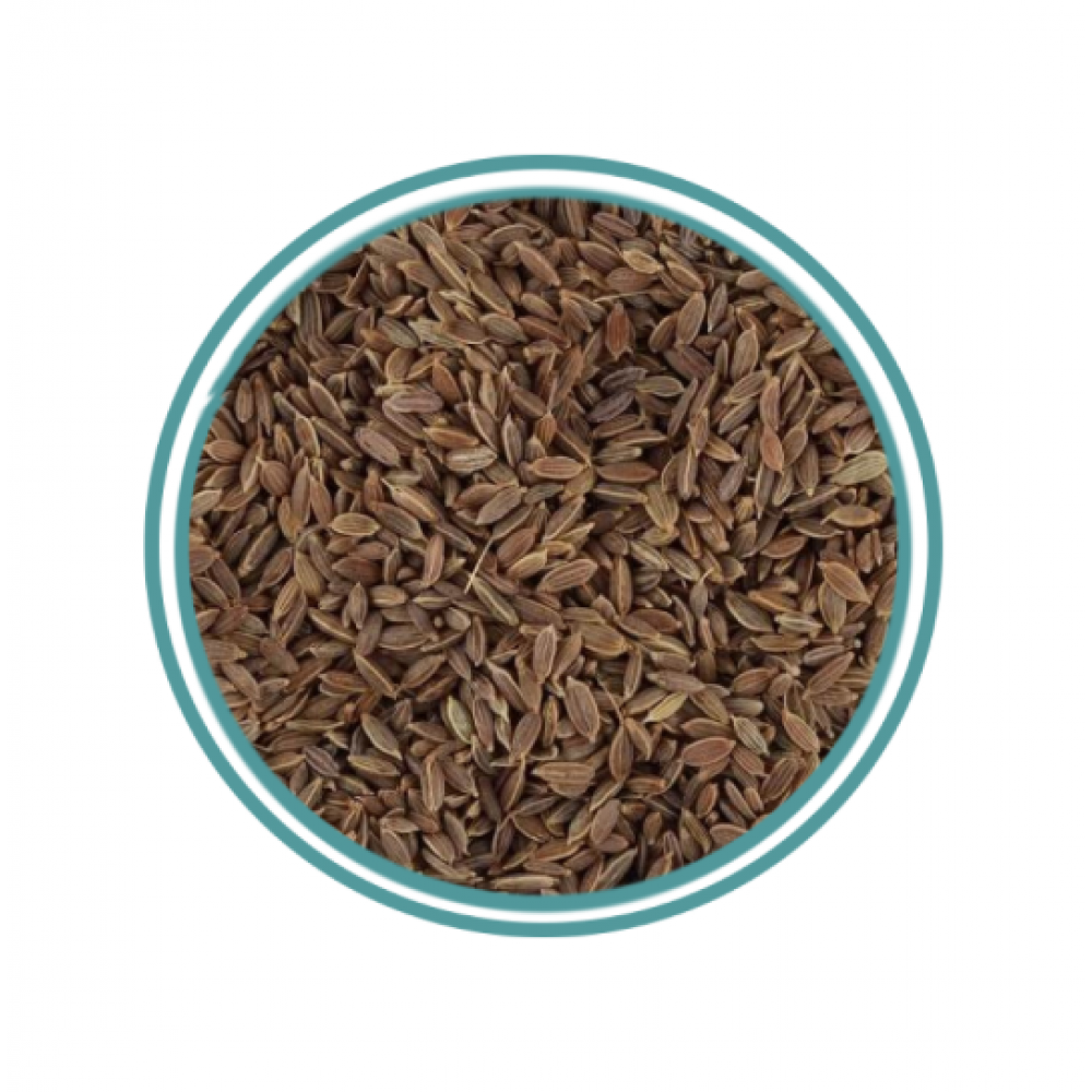 عين الجراد عين الجراد