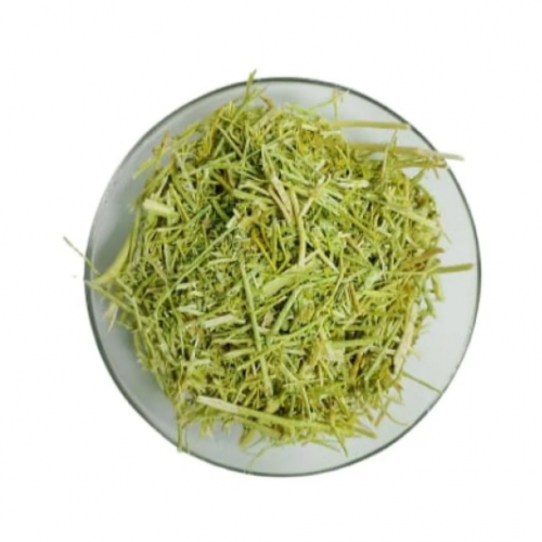 عشبة المدينه عشبة المدينه