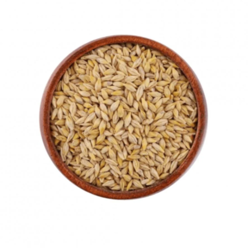 barley