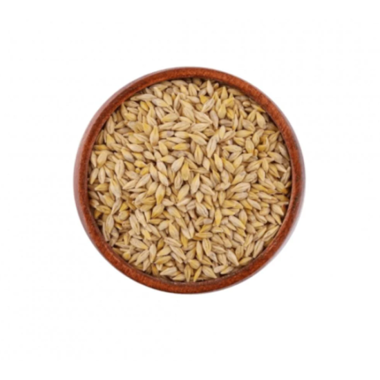 barley
